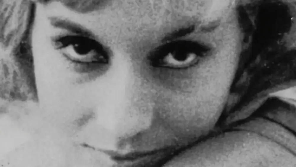 Helena! Cinema!: viagem pela obra de uma artista singular